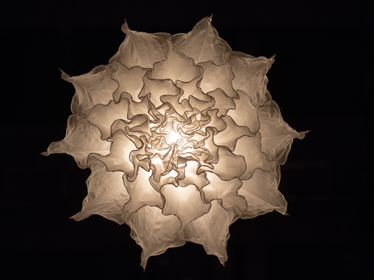 A floral light installation