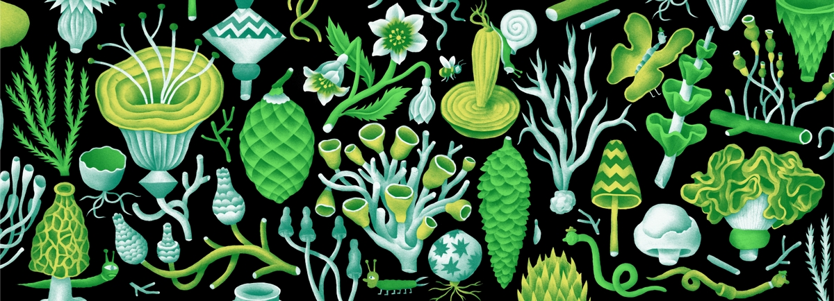 Paper Paradise Drop-In Workshop