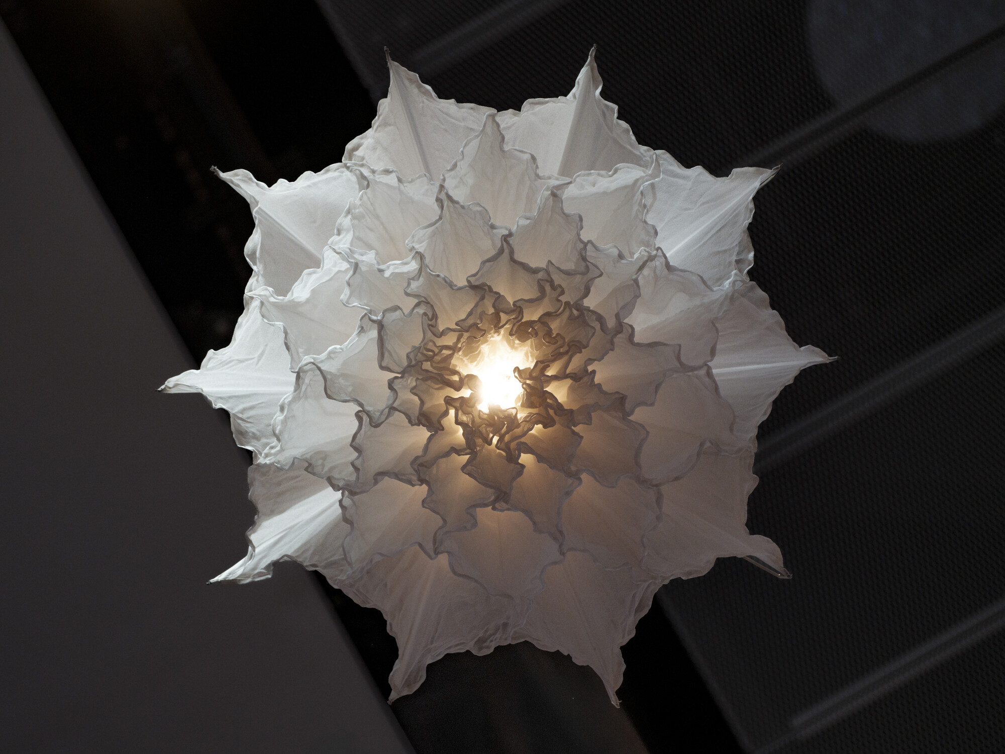 Shylight