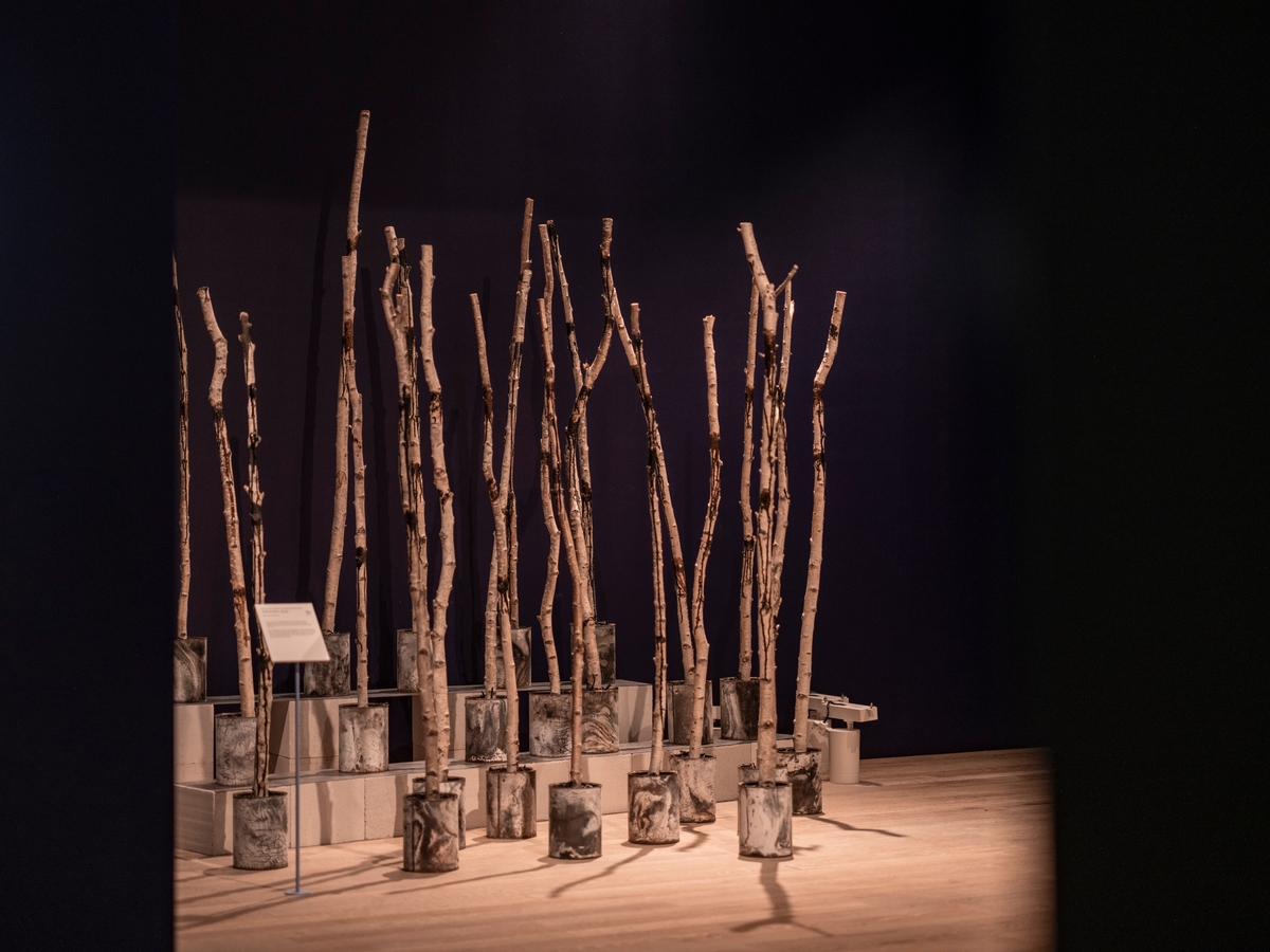 An installation of wooden sticks in metal containers in a gallery,